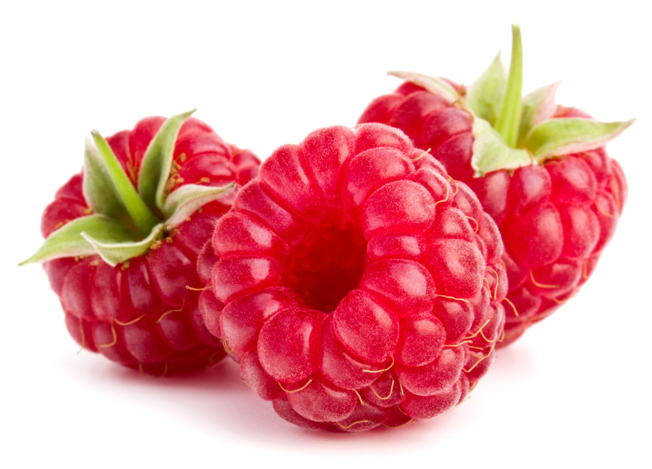 Drei reife Himbeeren mit leuchtend roter Farbe und grünen Kelchblättern liegen nebeneinander auf weißem Hintergrund