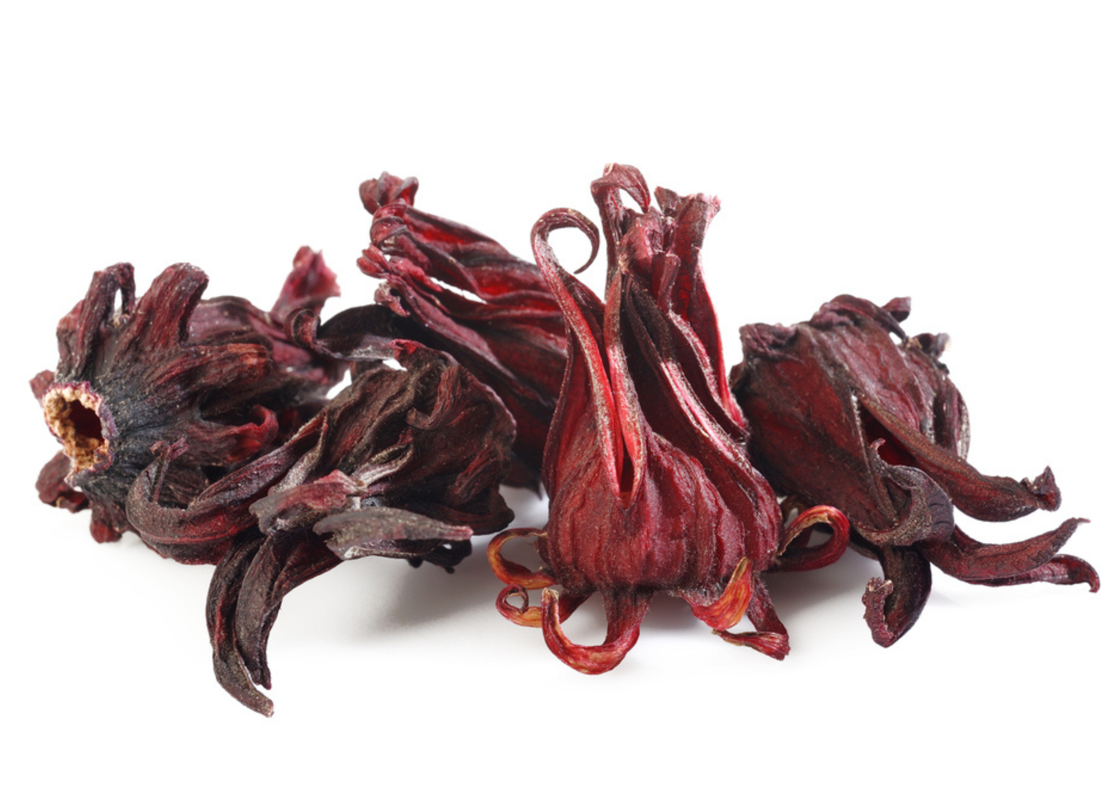 Getrocknete rote Hibiskusblüten mit charakteristischen dunklen Kelchblättern und leuchtend roten Fasern vor weißem Hintergrund.