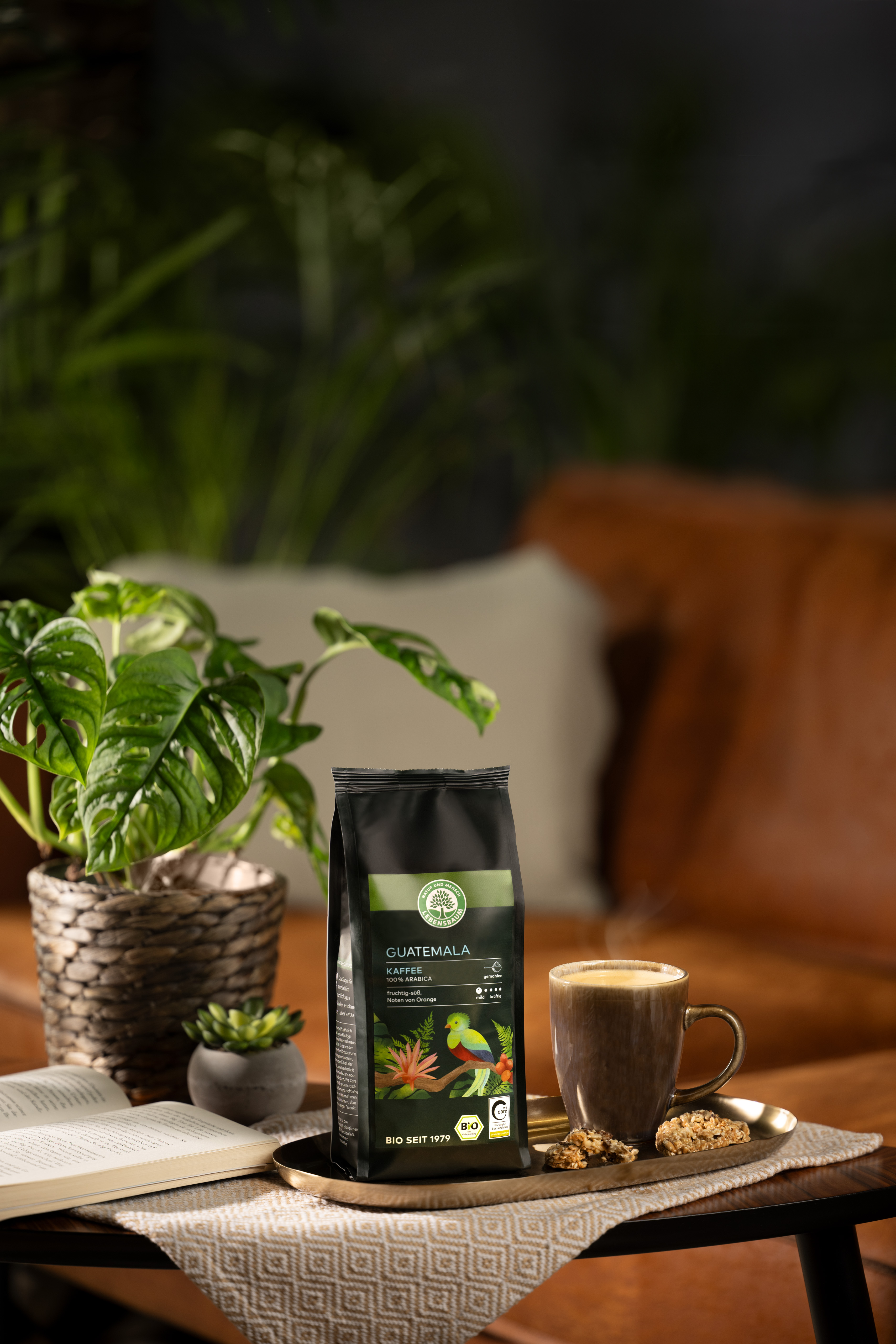 Bio Guatemala Kaffee