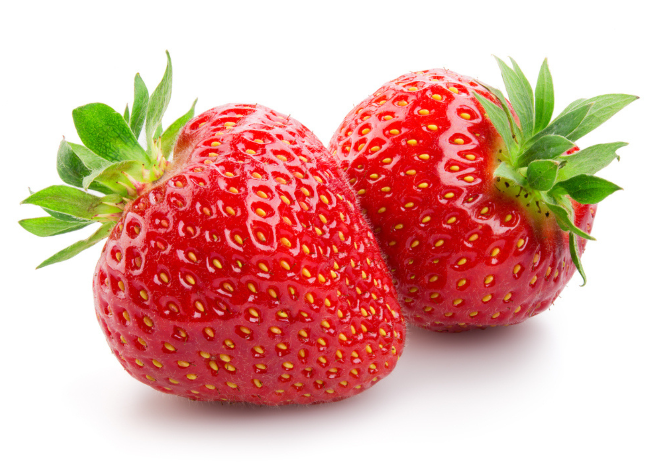 Zwei glänzend rote Erdbeeren mit grünen Kelchblättern liegen nebeneinander auf weißem Hintergrund