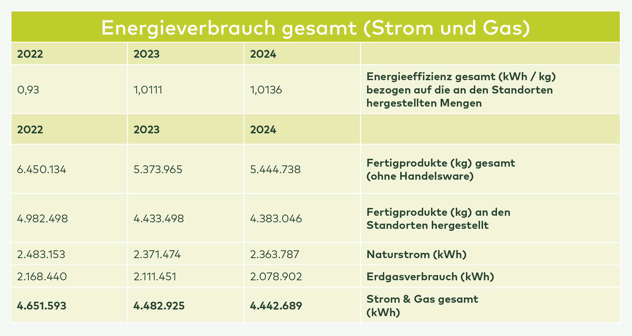 Tabelle zur Entwicklung des gesamten Energieverbrauchs von 2022 bis 2024 (Strom und Gas)