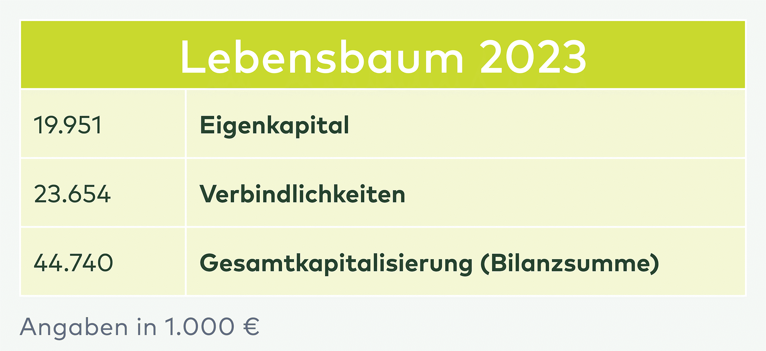 Lebensbaum 2023 Bilanzübersicht: Eigenkapital 19.951, Verbindlichkeiten 23.654, Gesamtkapitalisierung 44.740 Tsd. Euro.