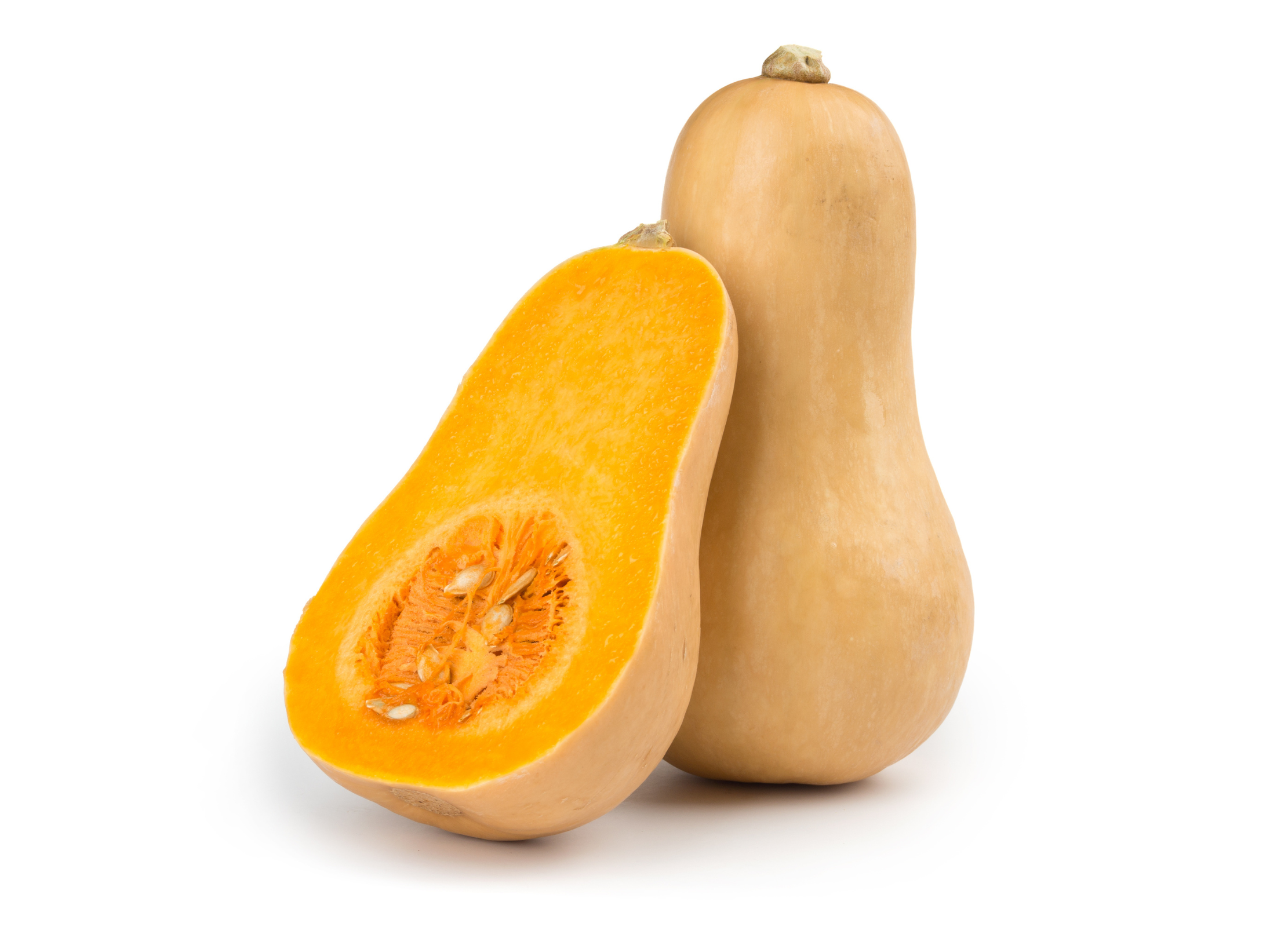Ein Butternut-Kürbis, einer ganz und einer halbiert, zeigt das leuchtend orange Fruchtfleisch und die Kerne