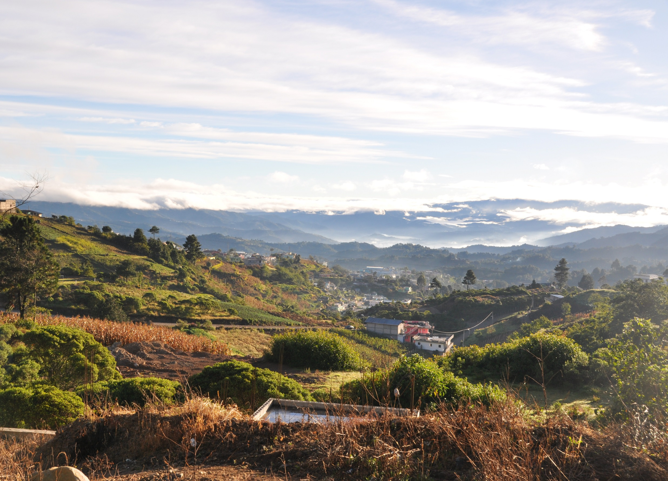Blick über eine hügelige, grüne Landschaft in Guatemala am frühen Morgen