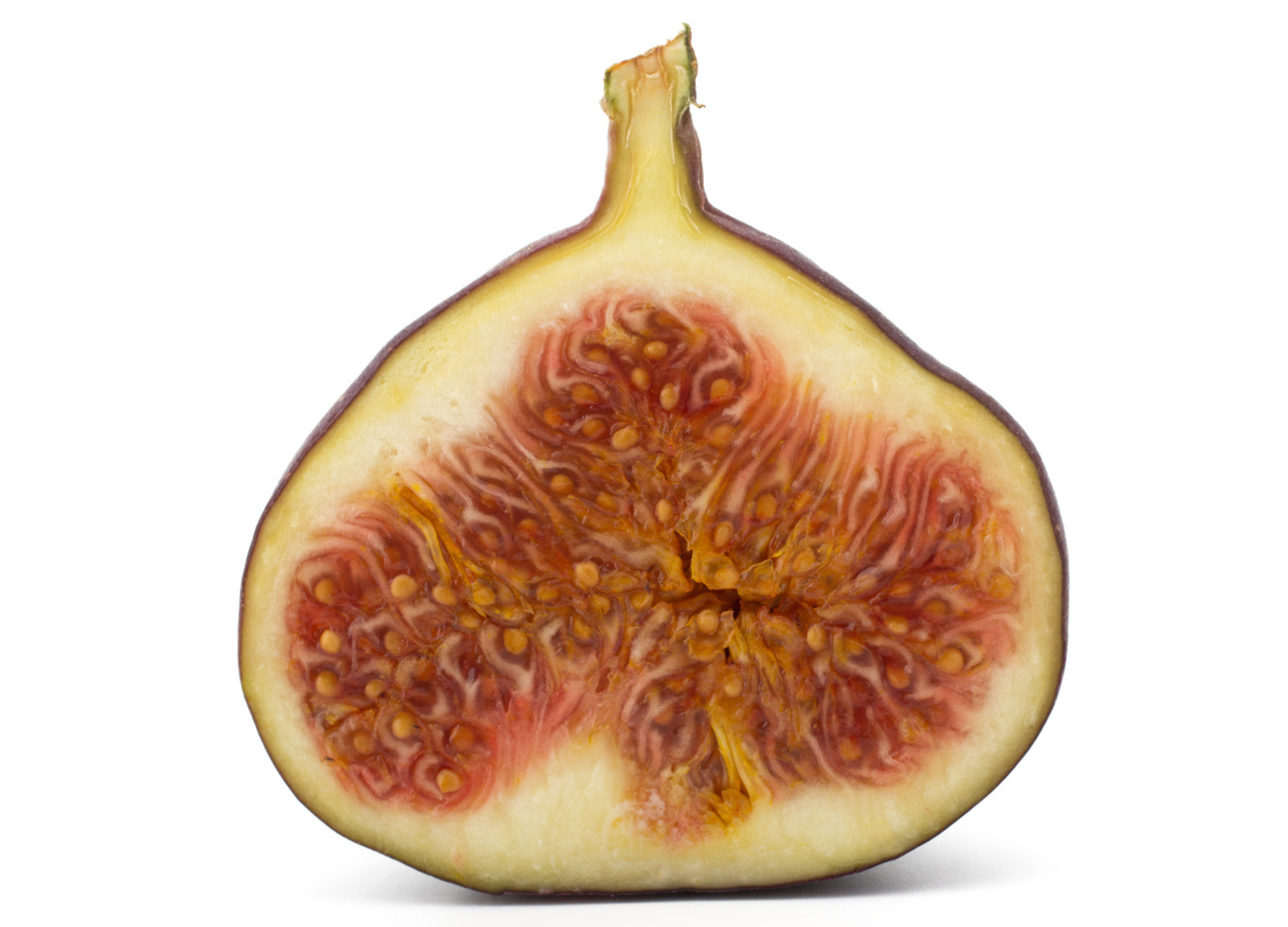 Halbierte Feige mit violetter Schale und saftigem, rot-orangefarbenem Fruchtfleisch, das von vielen kleinen Samen durchzogen ist