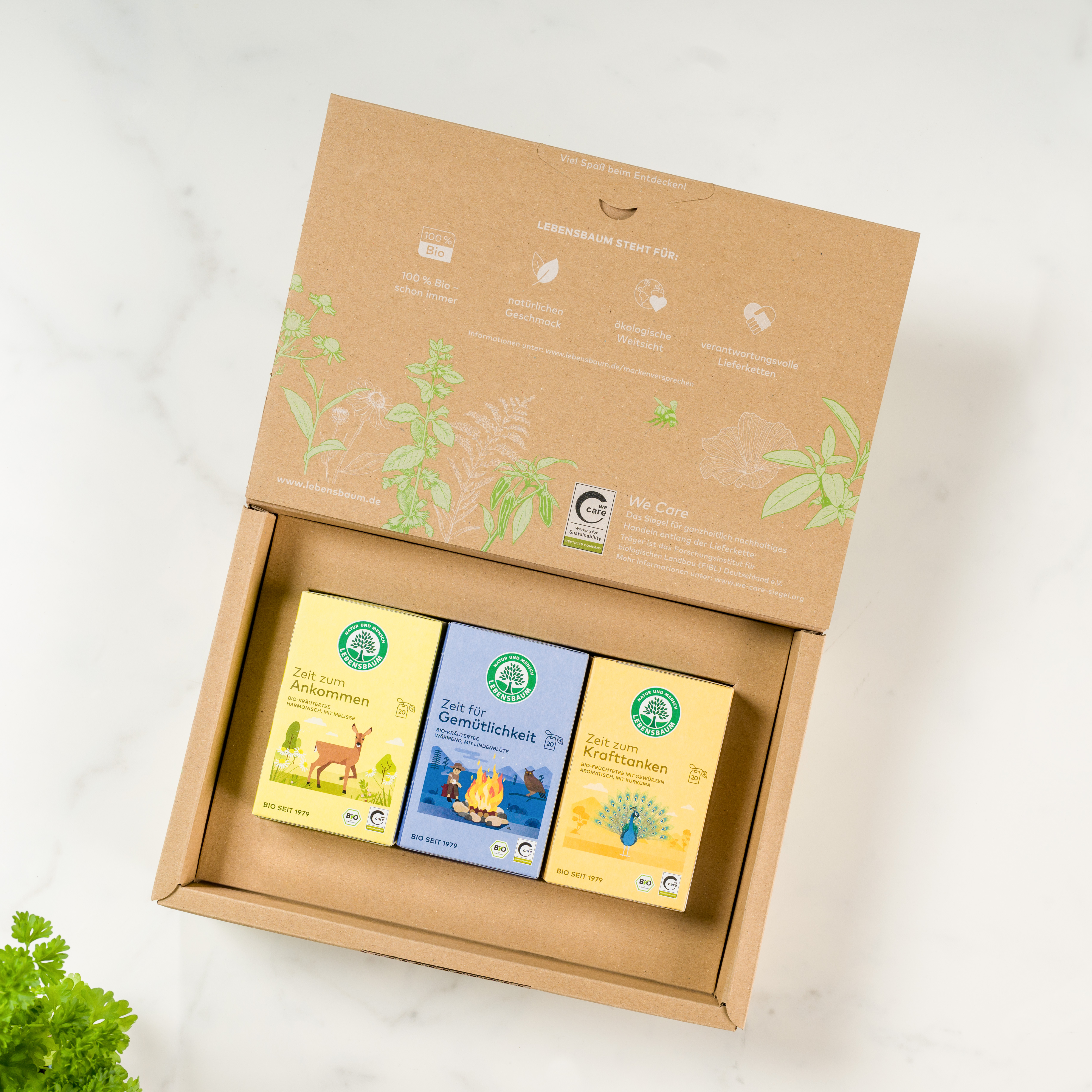Bio Wohlfühltees Zeit zum Ankommen, Zeit für Gemütlichkeit, Zeit zum Krafttanken Set