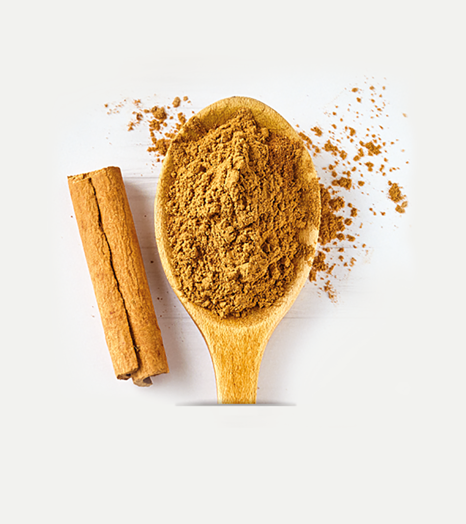 Gemahlenes Zimtpulver auf Holzlöffel neben Zimtstangen, goldbraune Farbe, verstreutes Pulver auf hellem Hintergrund.