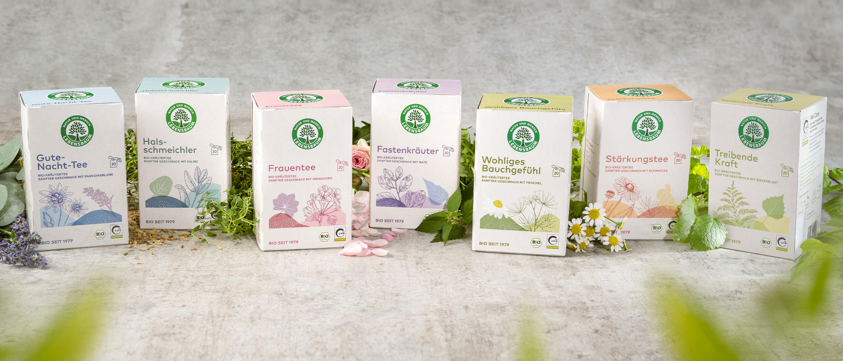 Sieben Bio-Teesorten in Kartonverpackungen mit Kräutern und Blüten: Gute-Nacht-Tee, Halsschmeichler, Frauentee, Fastenkräuter, Wohliges Bauchgefühl, Stärkungstee und Treibende Kraft.