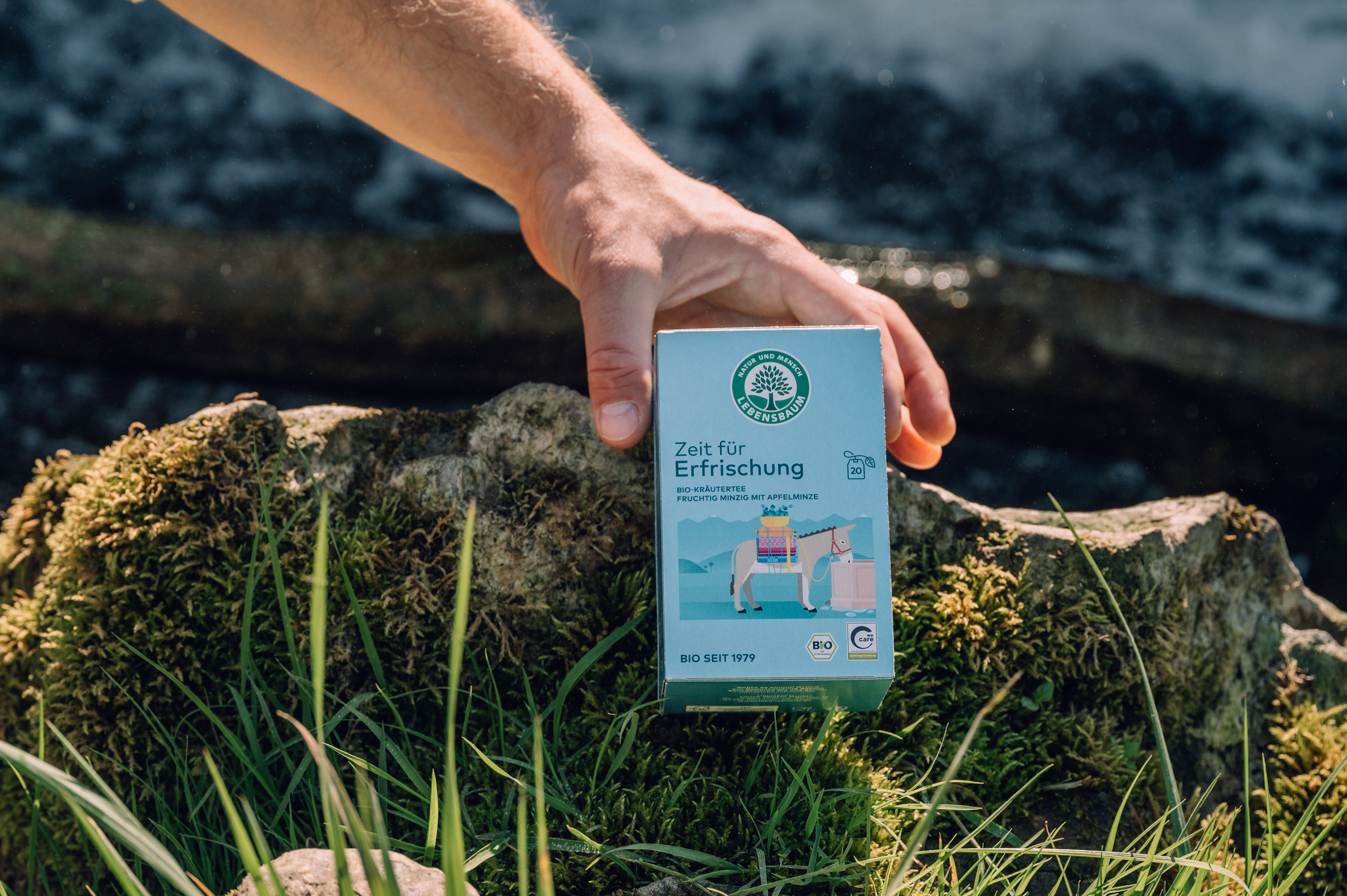 Bio-Kräutertee "Zeit für Erfrischung" mit Minze und Apfelmünze in hellblauer Packung, in Hand über Moos und Wasser gehalten.