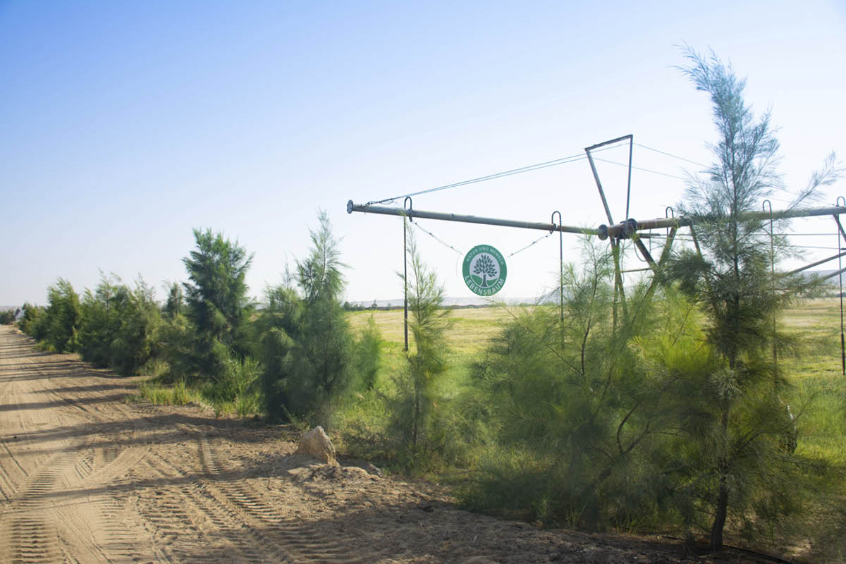 Bewässerungsanlage in einem Feld mit grünen Pflanzen unter klarem Himmel