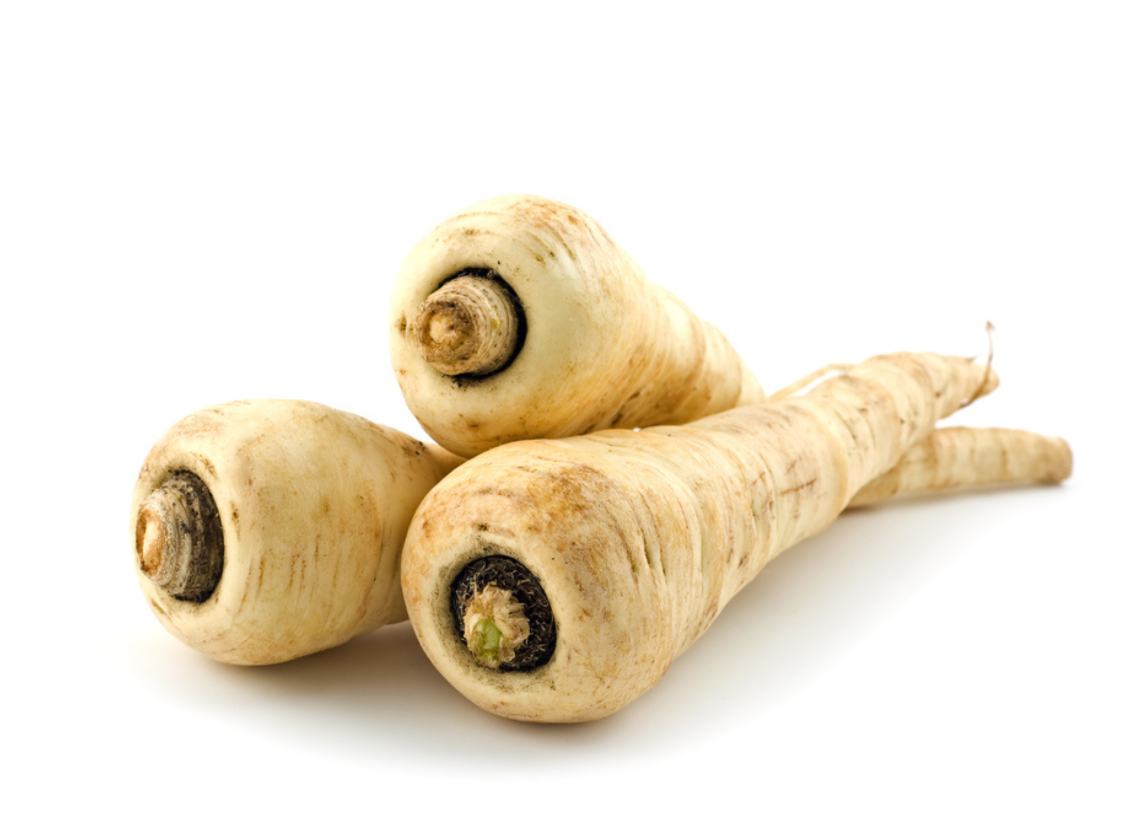 Pastinake