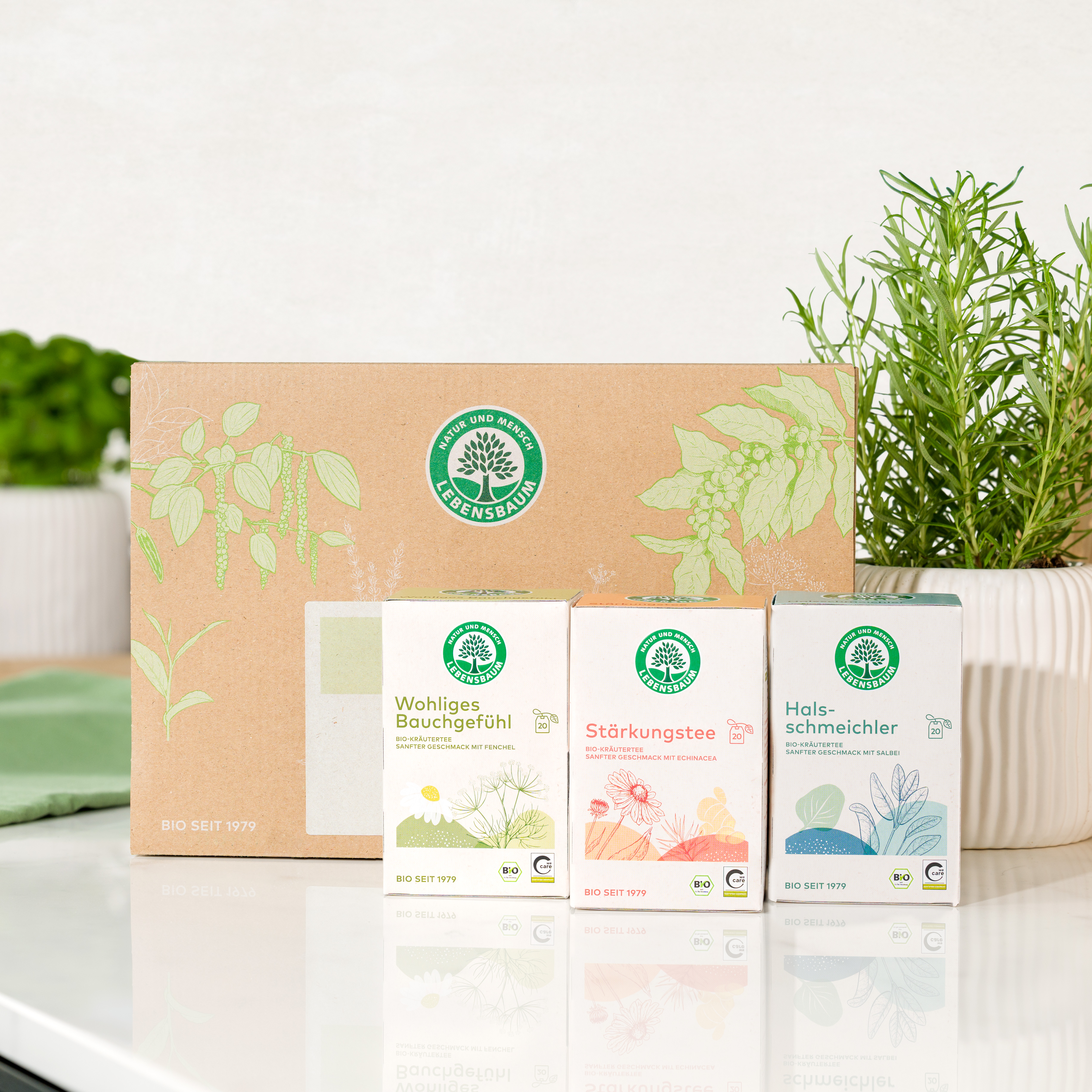 Bio Tee-Set Gute Besserung mit Wohliges Bauchgefühl, Stärkungstee und Halsschmeichler