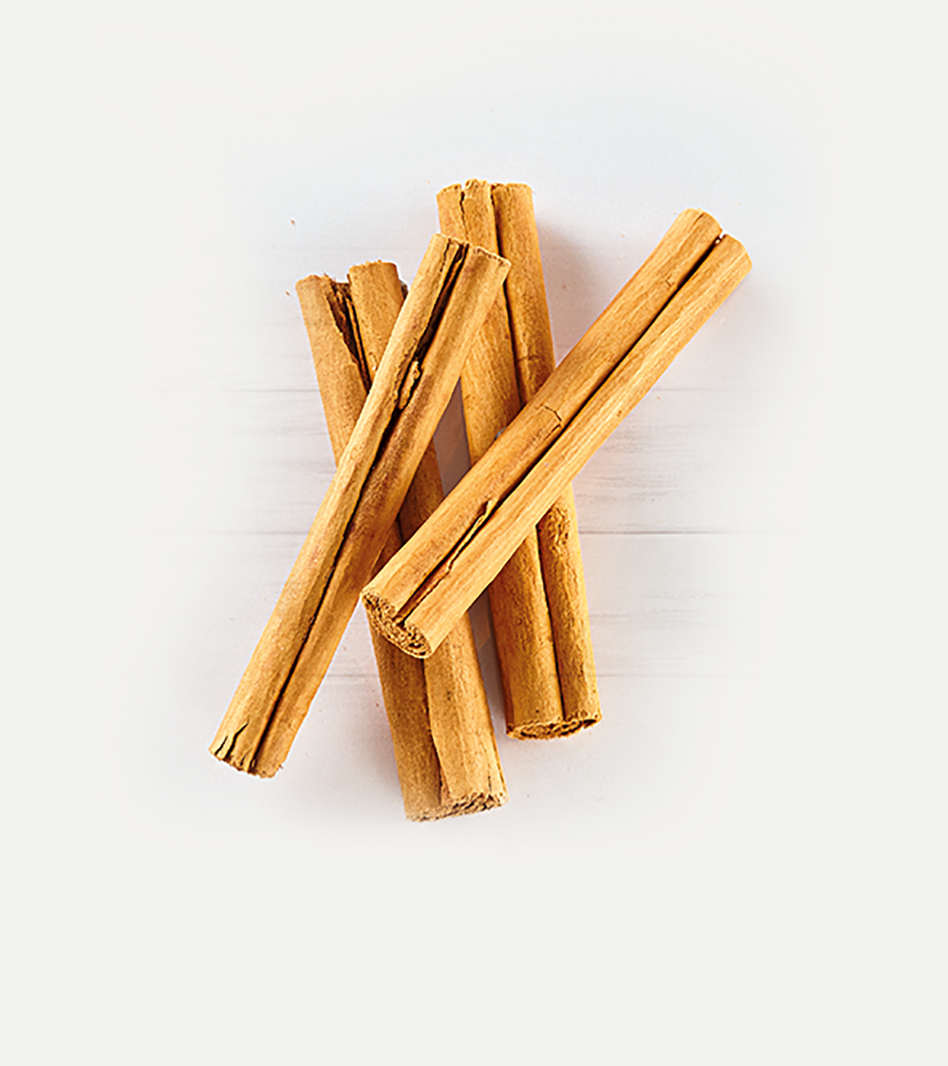 Zimtstangen aus Ceylon mit warm-brauner Färbung, mehrere Stangen übereinander angeordnet auf weißem Hintergrund.