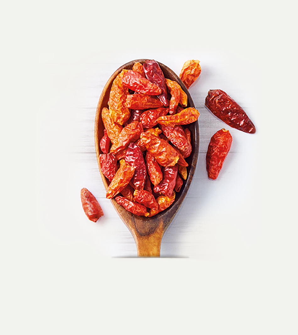 Getrocknete rote Chili-Schoten Bird's Eye in Holzlöffel, leuchtend rot-orange, aromatisches Würzgewürz