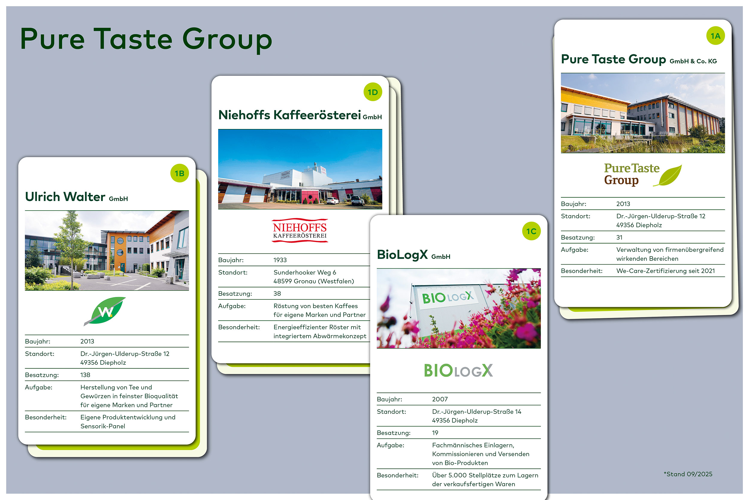 Organigramm der Pure Taste Group mit vier Tochterunternehmen: Ulrich Walter GmbH (Tee- und Gewürzherstellung), Niehoffs Kaffeerösterei GmbH (Kaffeeröstung seit 1933), BioLogX GmbH (Bio-Produktlagerung)