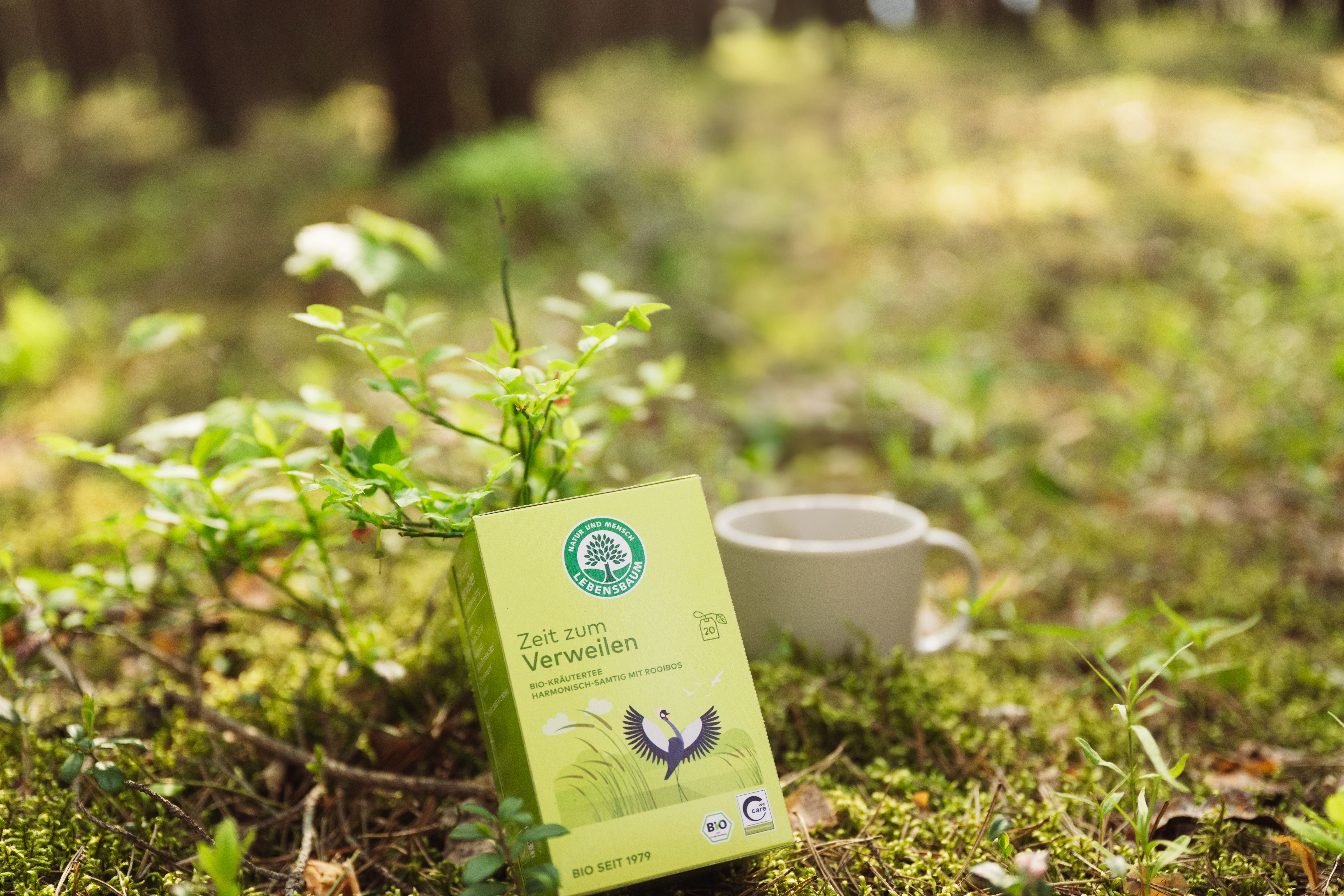 Lebensbaum "Zeit zum Verweilen" Bio-Kräutertee mit Rooibos in hellgrüner Verpackung neben Tasse auf Moosuntergrund im Wald