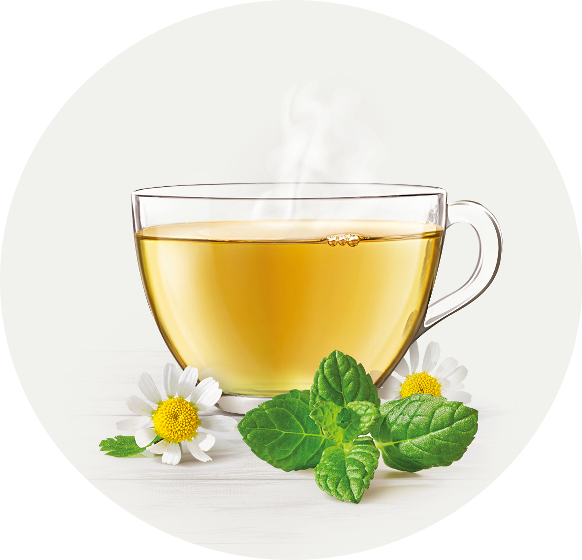 Glastasse mit hellem Kräutertee, daneben Kamillenblüten und frische Minzblätter, dampfend auf weißem Untergrund