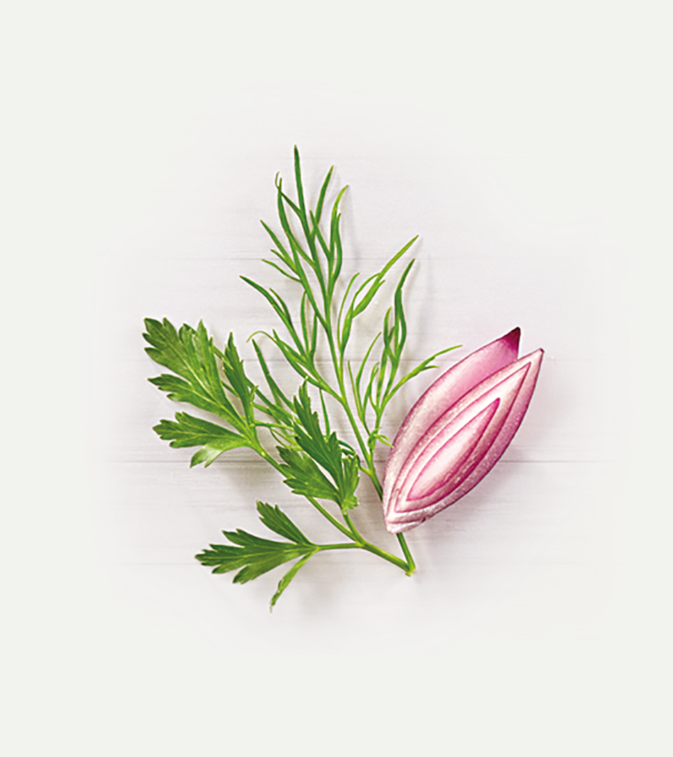 Salatgewürz-Mischung mit grünem Dill, Petersilie und rosa Blüte auf weißem Hintergrund