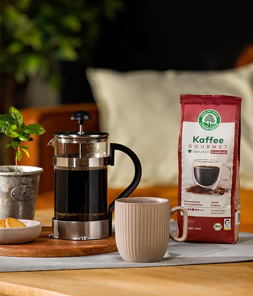 Filterkaffee-Lifestyle: Kaffeepresse mit schwarzem Kaffee, cremefarbener Tasse und roter Kaffeeverpackung "Gourmet" auf Holztisch, grüne Pflanze im Hintergrund.