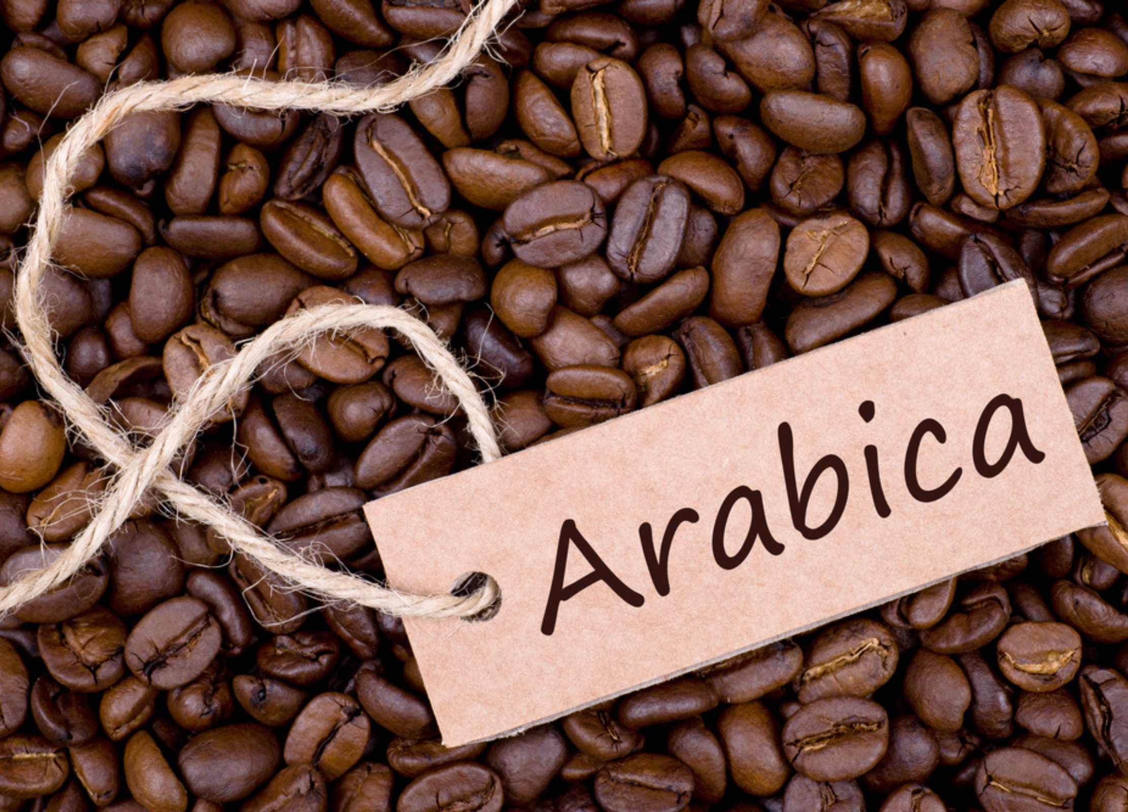 Braune, glänzende Arabica-Kaffeebohnen mit einem braunen Etikett, auf dem „Arabica“ steht, liegen dicht an dicht
