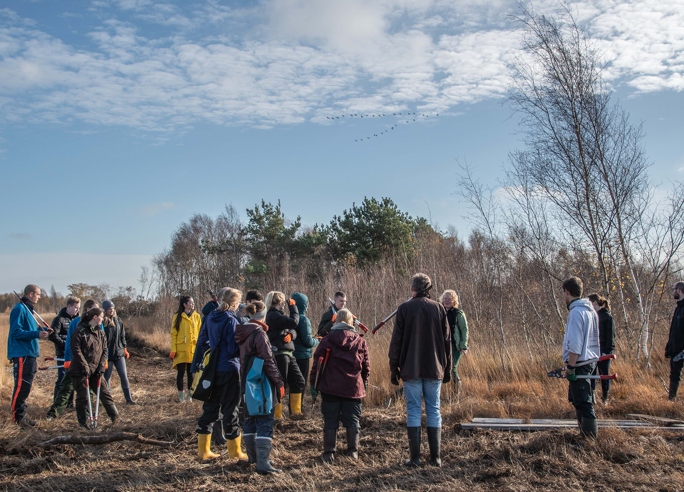 Gruppe von Menschen bei Entkussel-Aktion im Moorgebiet unter blauem Himmel