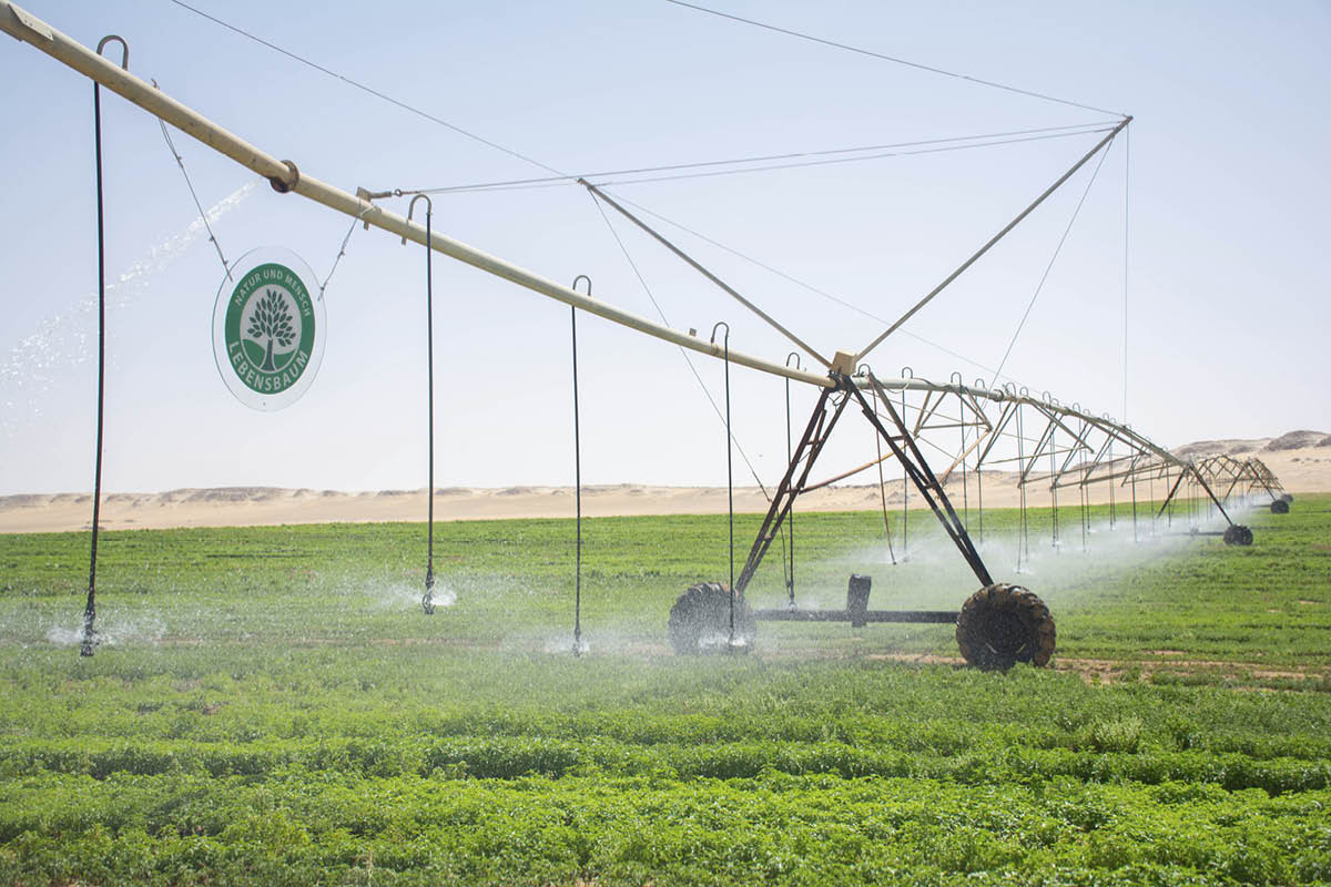 Bewässerungsanlage mit Baum-Logo auf grünem Feld, sprüht Wasser über Nutzpflanzen unter klarem Himmel.