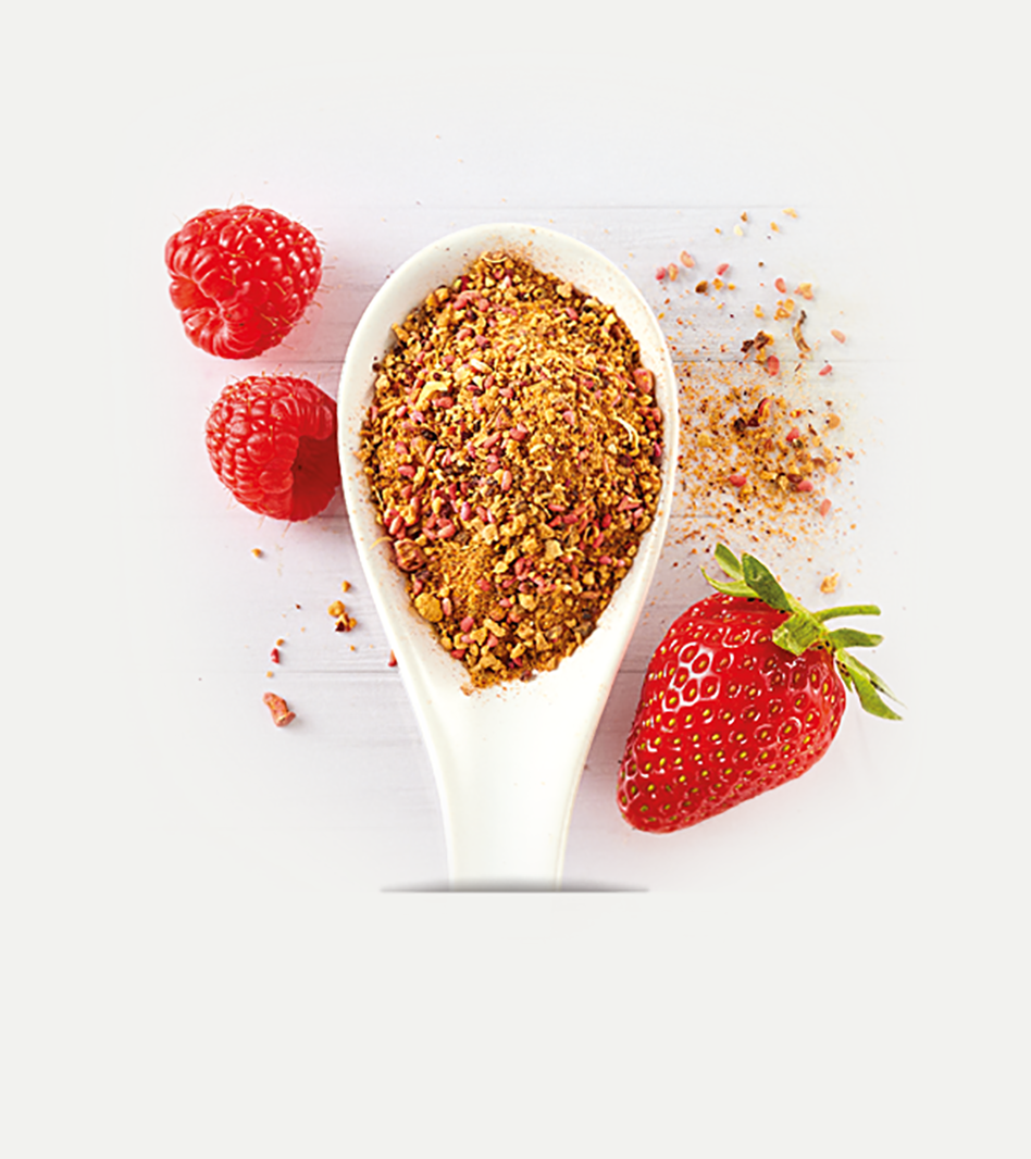 Porridge-Gewürzmischung in weißem Löffel mit roten Himbeeren und Erdbeere, Streuer sichtbar, auf hellem Hintergrund.