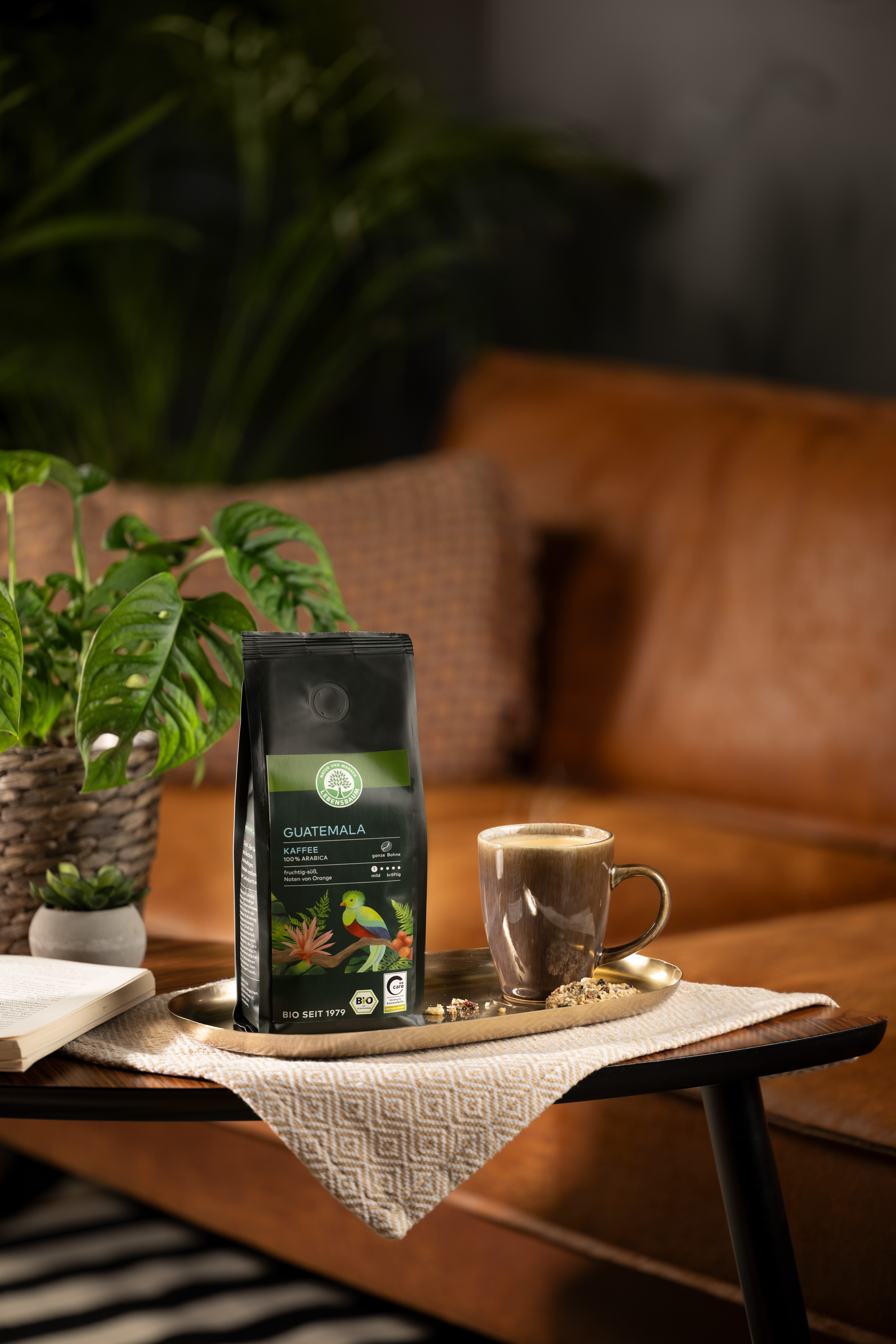Bio Guatemala Kaffee