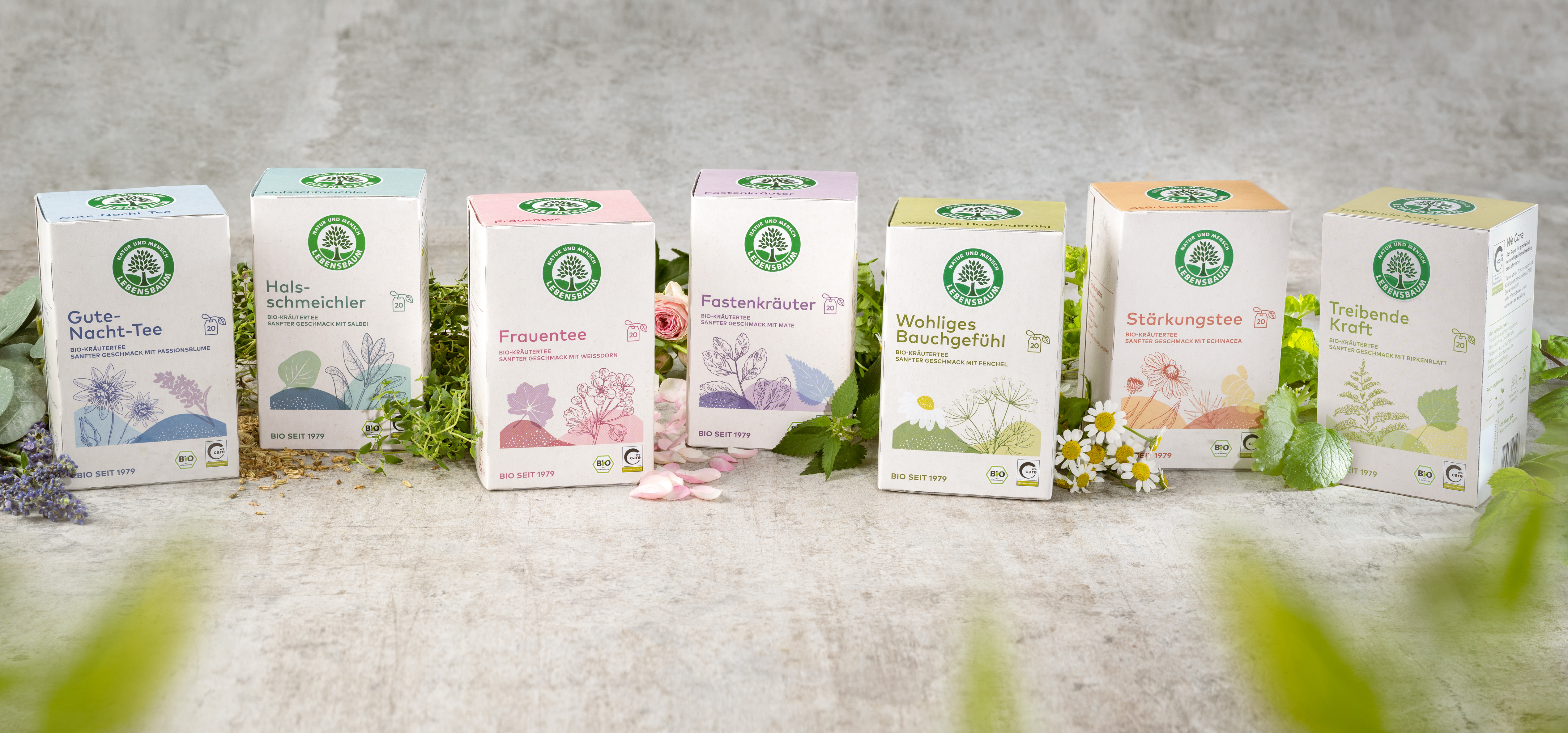 Sieben Bio-Teekästen in verschiedenen Farben nebeneinander: Gute-Nacht-Tee, Halsschmeichler, Frauentee, Fastenkräuter, Wohliges Bauchgefühl, Stärkungstee und Treibende Kraft mit Kräutern und Blüten.
