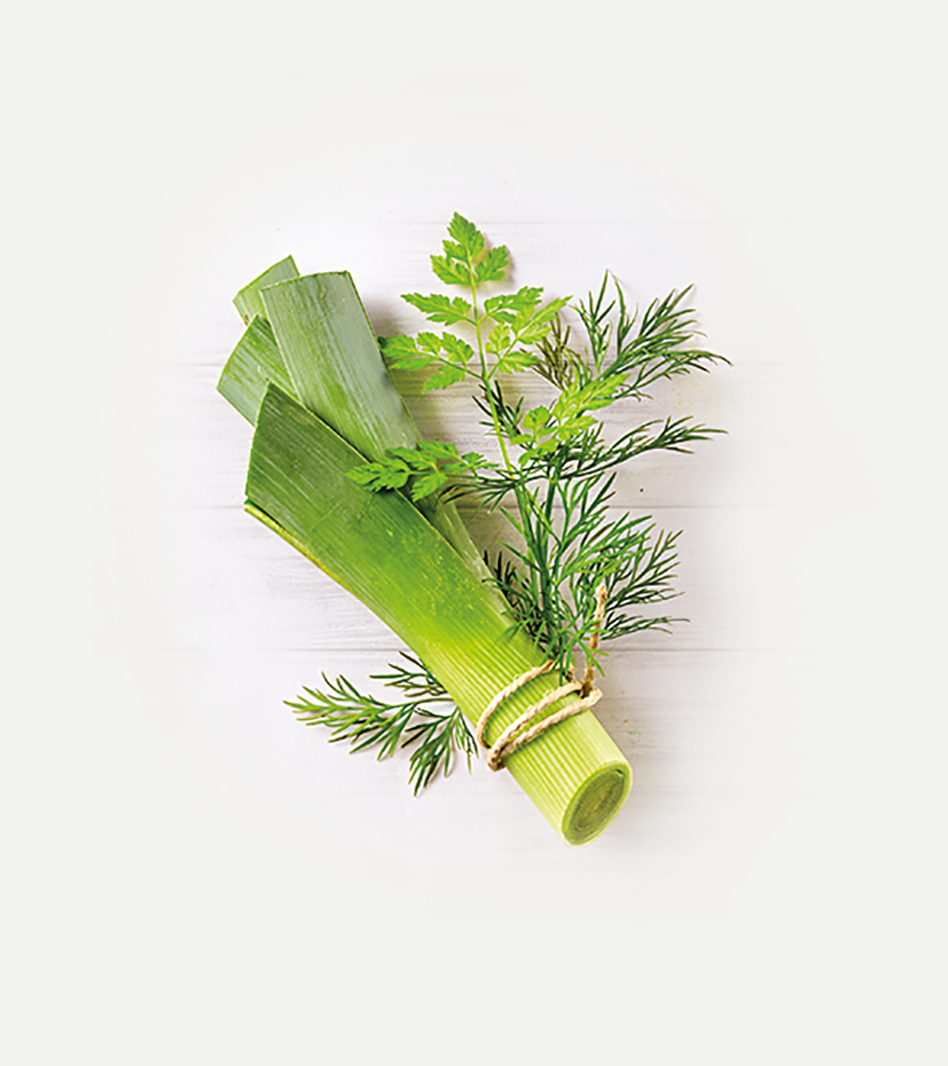 Frisches Kräuterbündel mit Dill, Petersilie und Schnittlauch, gebunden mit grünem Band auf hellem Hintergrund.