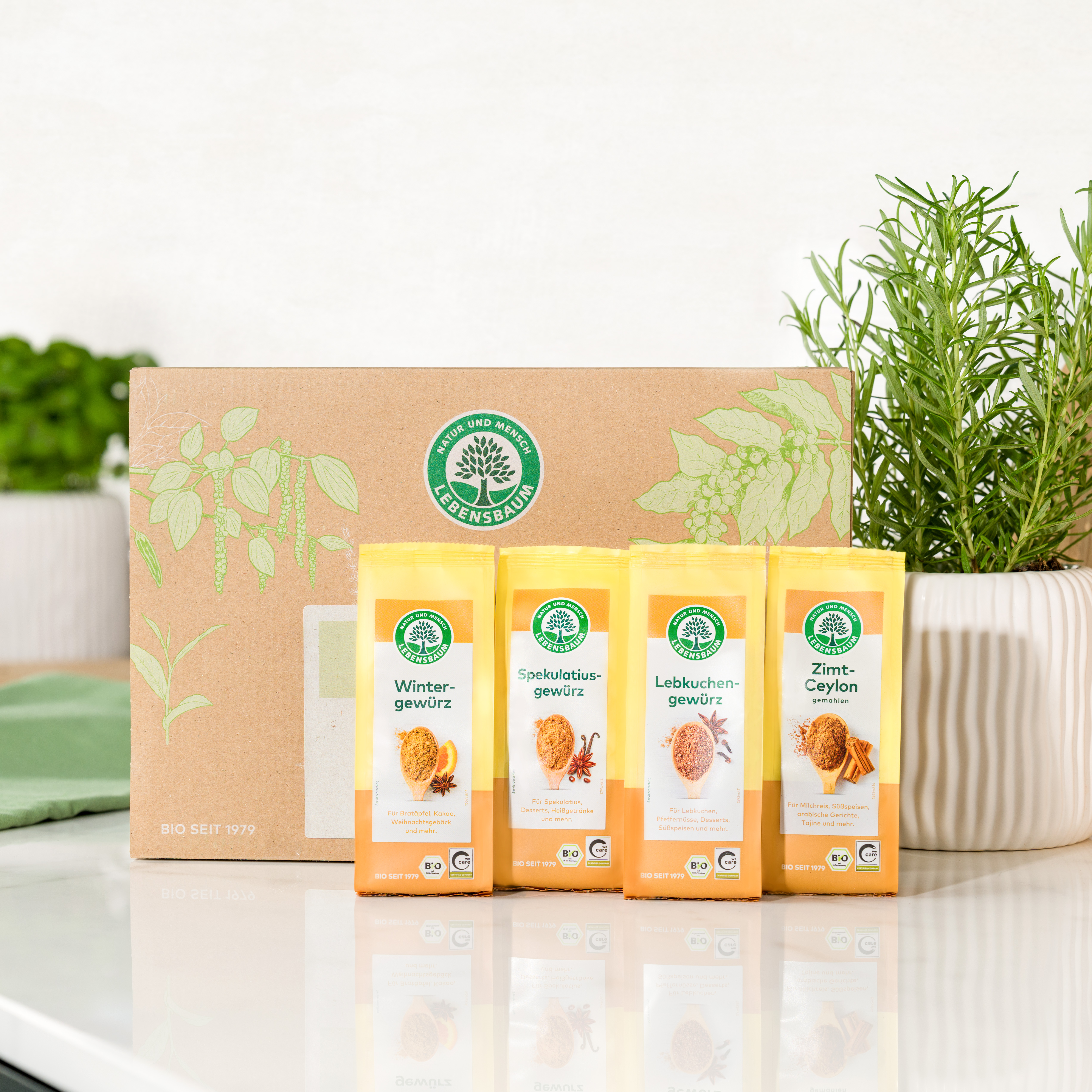 Bio Gewürz-Set Winter mit Wintergewürz, Spekulatiusgewürz, Lebkuchengewürz & Zimt Ceylon